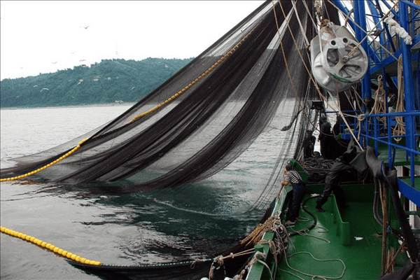 Knotted Fishing Net• OBKA Group